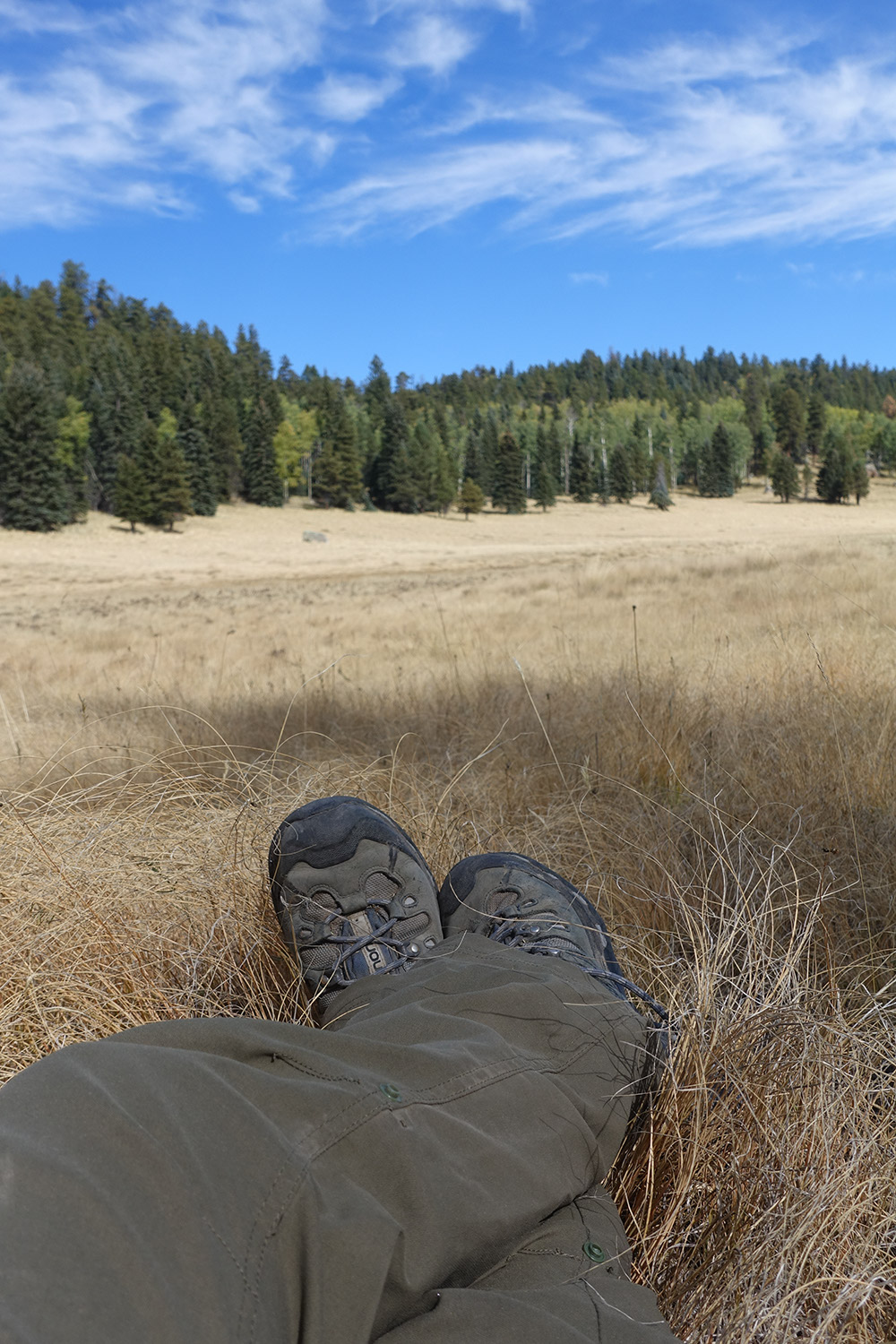 A hiker's feet propped over a wide field with distant trees